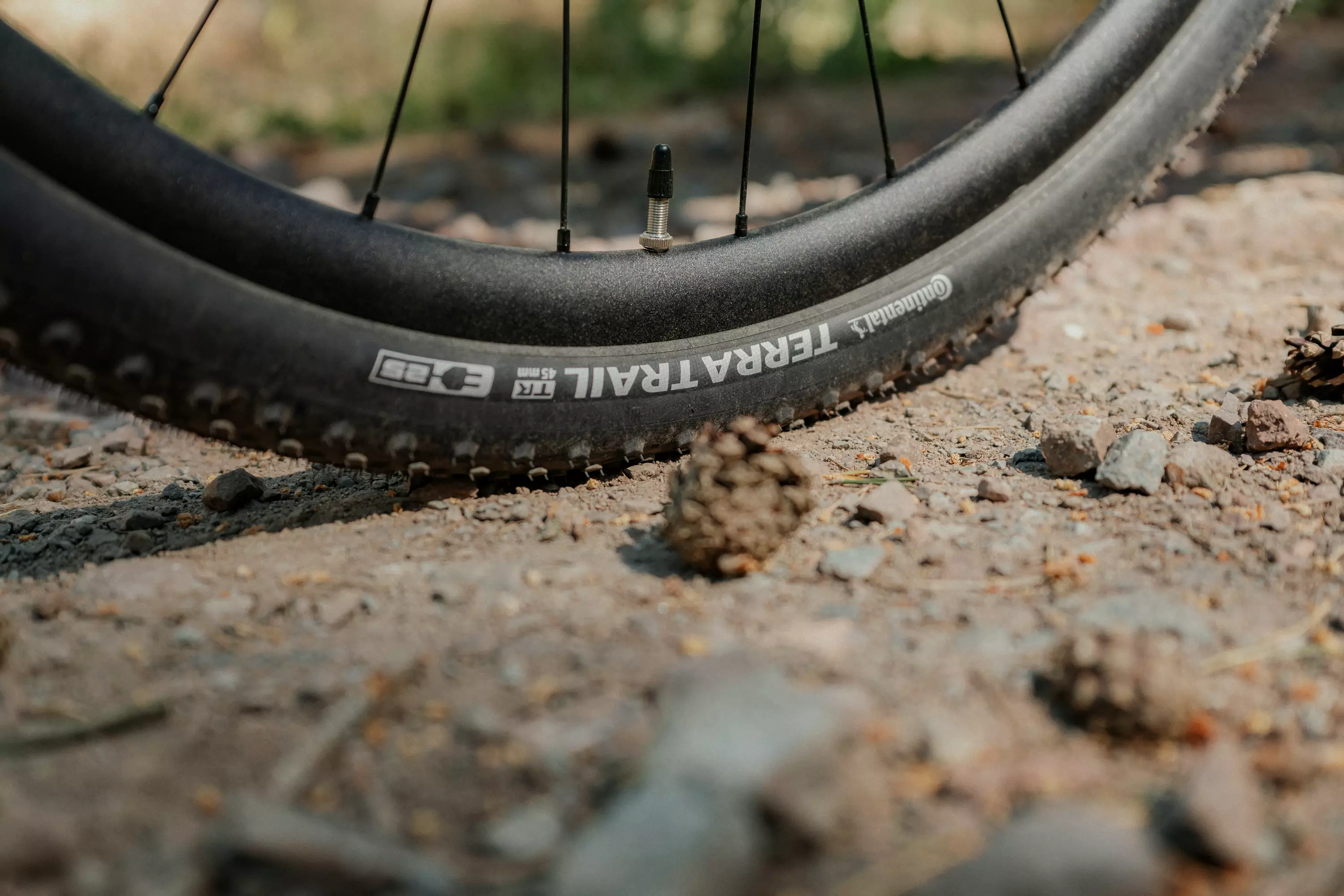 Continental Terra Trail Gravel E-Bike Bereifung